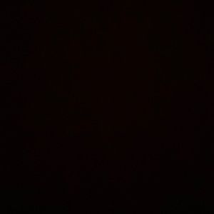 Meet your Posher, Donald